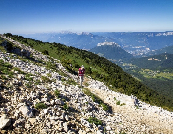 -sentier-de-randonnee-chartreuse-france.jpg