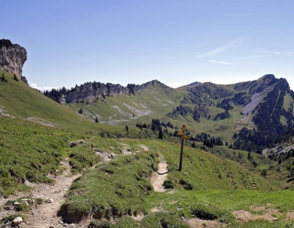 Rando-Chartreuse-Grande-Sure.jpg