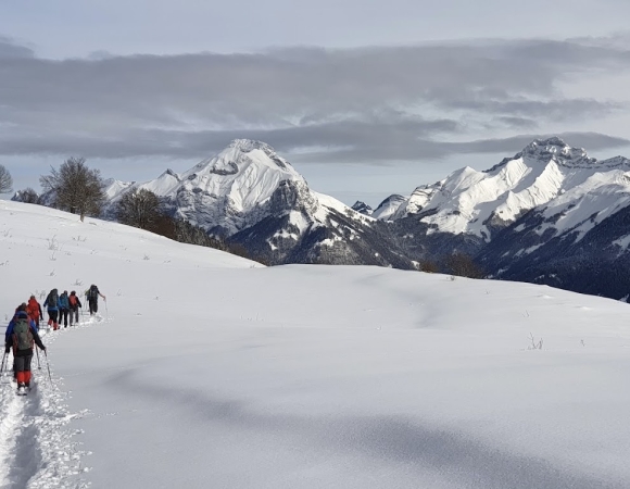 balade-dans-la-neige-fraiche-bauges-savoie-france.jpg