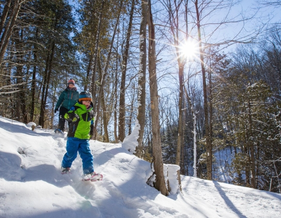 balade-raquettes-famille.jpeg
