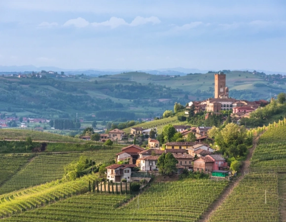 barbaresco.webp