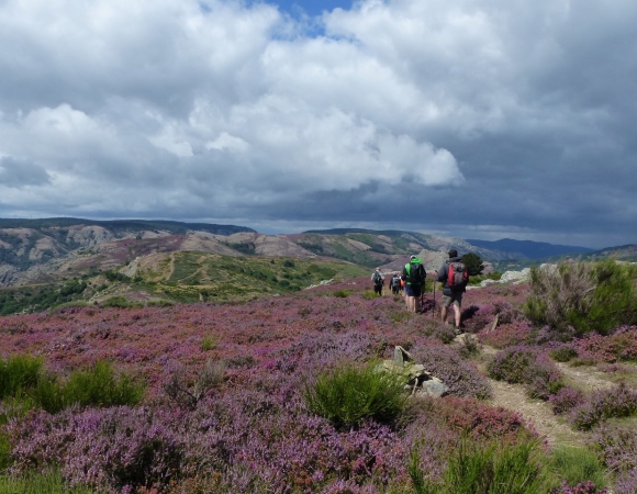 bruyeres-et-rando-aout-sud-de-france.JPG