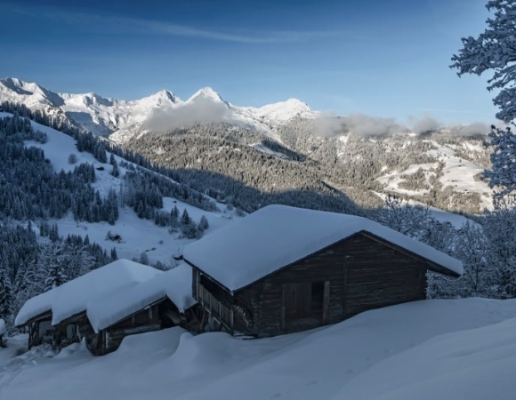 chalet-d-alpage-dans-le-massif-du-beaufortain-haute-savoie-alpes-france.jpg