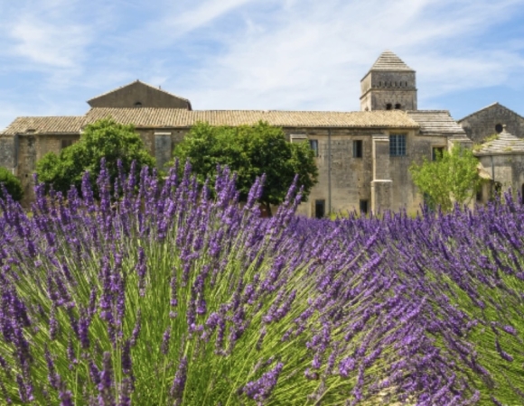 champs-de-lavandes-au-monastere-de-saint-paul-de-vausole.jpeg