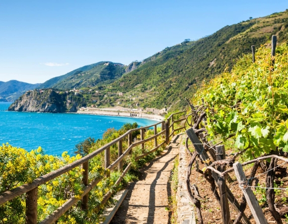 chemin-dans-les-vignes-cinque-terre.jpeg