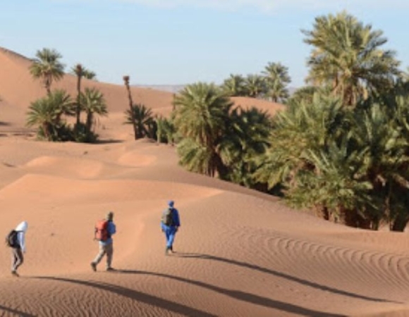 desert.jpg