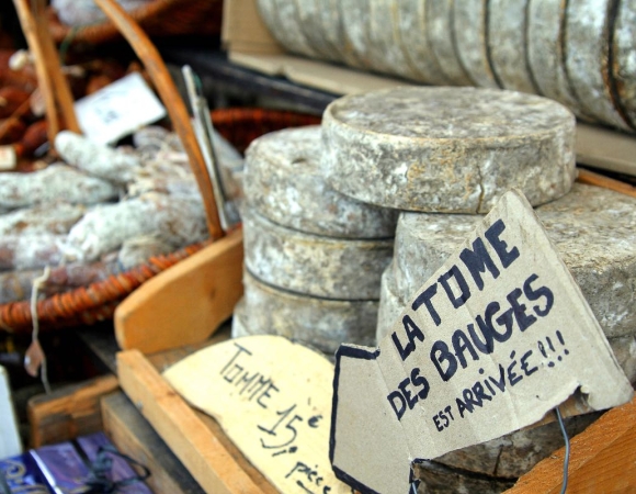 etales-marche-durant-le-voyage-dans-les-bauge-savoie-france.jpeg