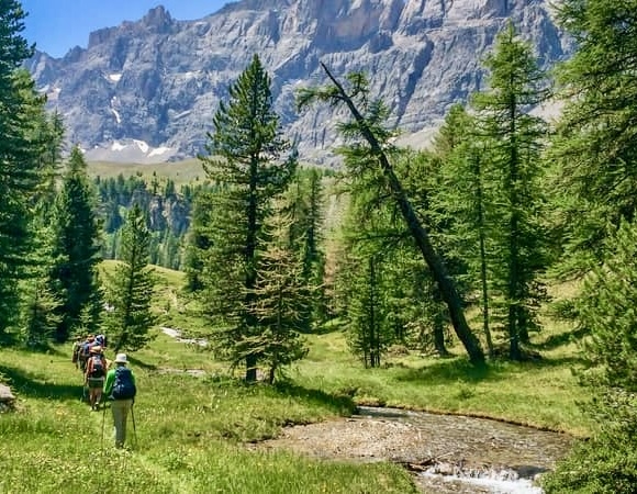 foret-melezes-GR58-queyras-france.jpg