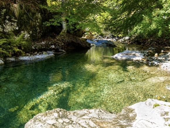 gorges-du-caroux-cevennes.jpg