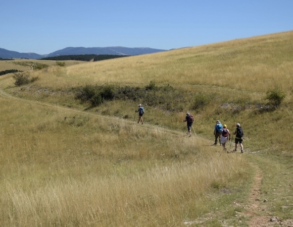 groupe-randonnee-sejour-causse-mejean.jpeg