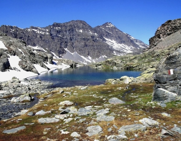lac-altitude-en-ete-dans-le-queyras.jpg