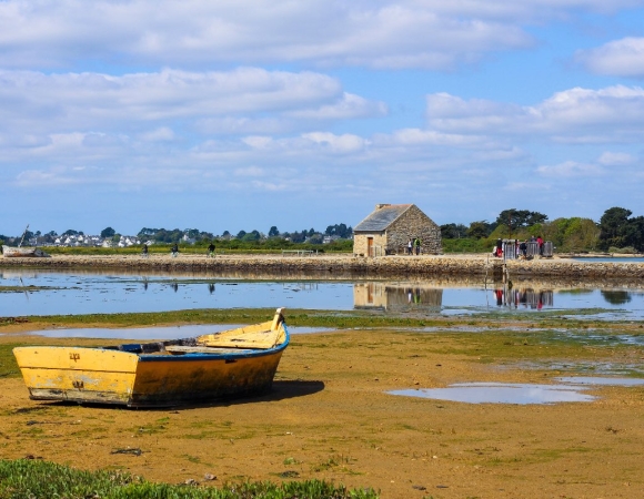 maree-basse-en-randonnee-morbihan-france.jpeg