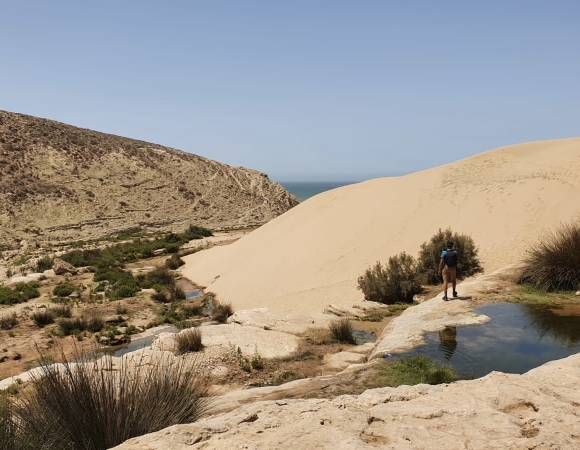 pas-loin-de-l-ocean-maroc.jpg