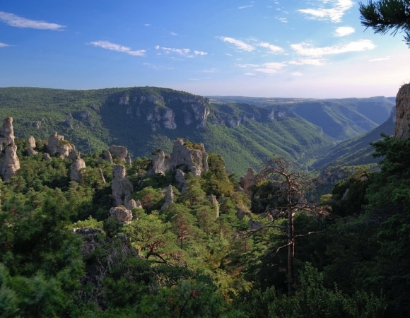 paysage-grands-causses-sejour.jpeg