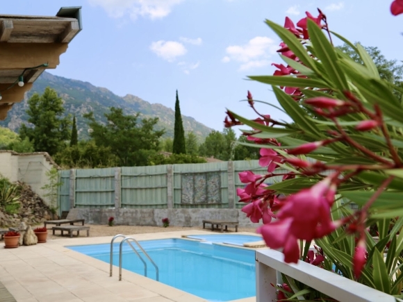 piscine-manoir-de-mons.jpg