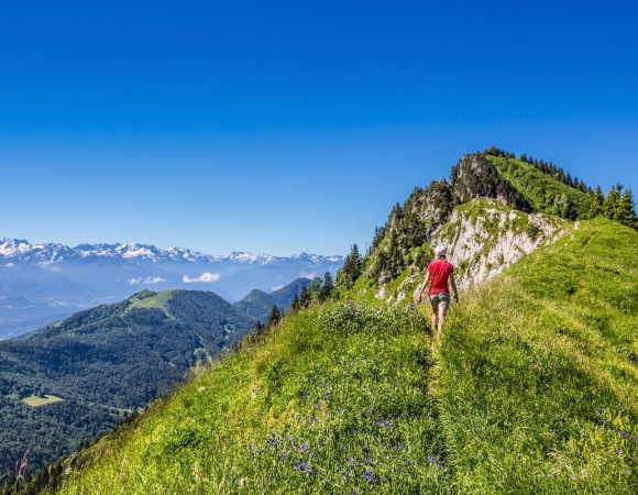 rando-sur-les-cretes-des-bauges-france.jpeg