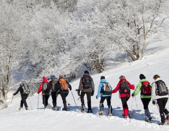 randonnee-raquette-en-groupe-france.jpeg