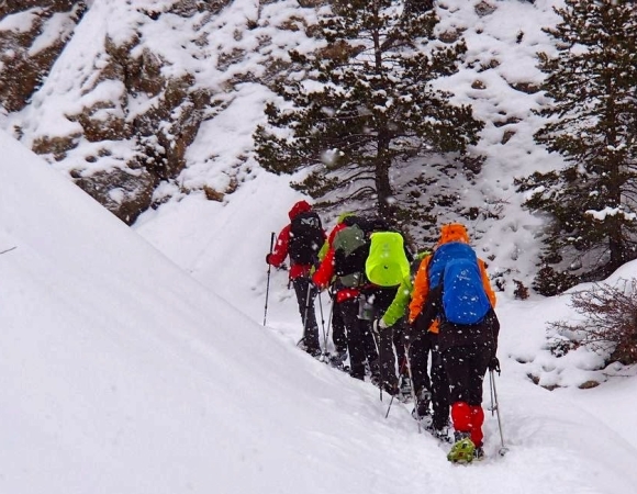 randonnee-sous-la-neige.jpg