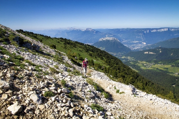sentier-de-randonnee-chartreuse-france.jpg