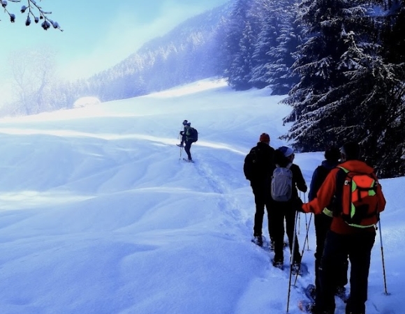 sortie-raquettes-au-petit-matin-dans-la-neige.jpg