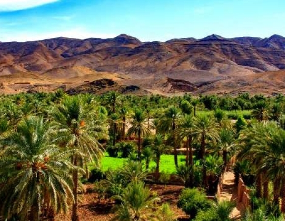 vallee-du-draa-au-maroc.jpg