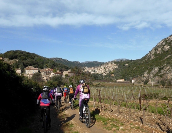 vignes-en-vtt.jpg