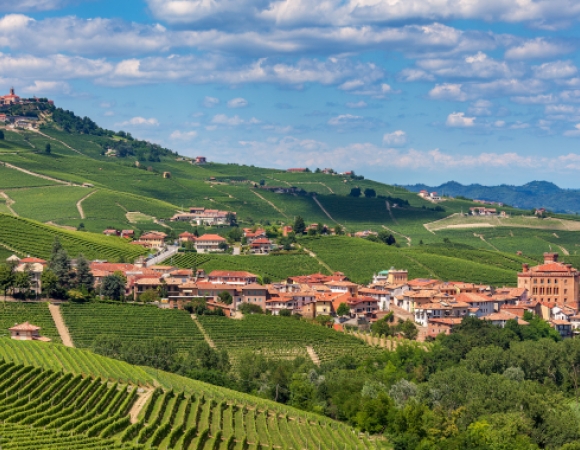 village-de-barolo-et-sesvignes-a-perte-de-vue.jpg