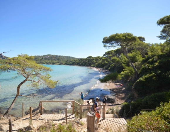vue-sur-la-mediterranee-ile-de-porquerolles.webp
