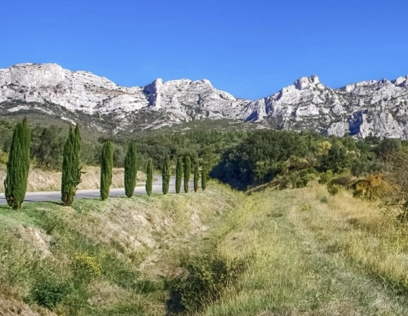vue-sur-les-alpilles-depuis-un-sentier-de-cypres-en-randonneee-provence.jpeg