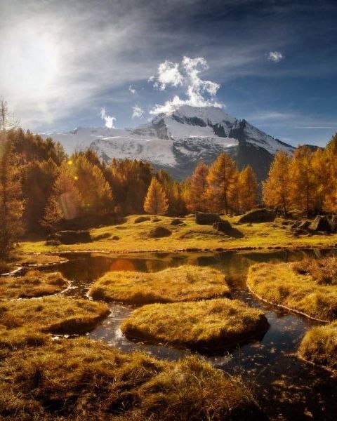 This image for Image Layouts addon