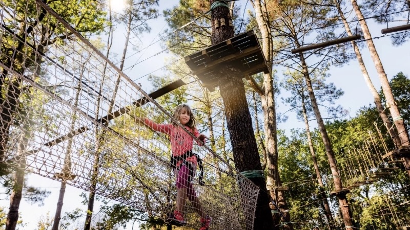 Accrobranches dans le Caroux