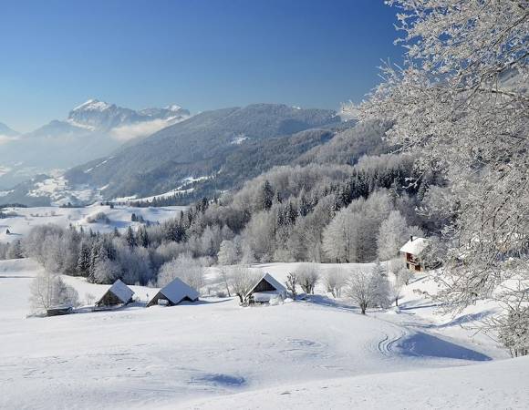 paysage-sous-la-neige-en-chartreuse.jpg